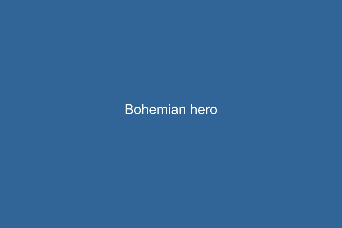 Bohemian Design Design Style